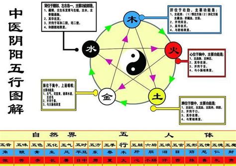 紫 五行 属|紫的五行属什么,紫字的五行属性,紫的寓意